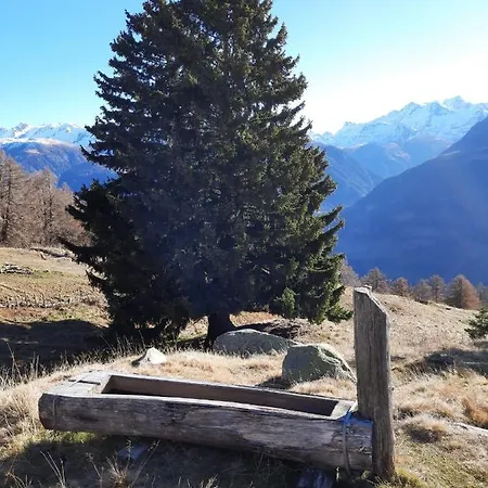 Burgihitta - Alphutte In Unberuhrter Natur *
